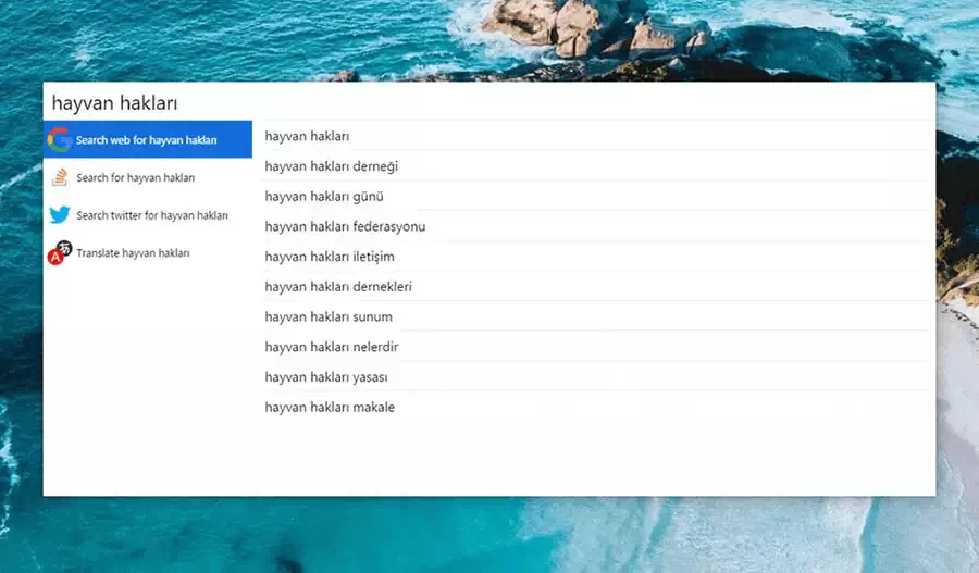 Cerebro Uygulaması - Her Şeyi Ara