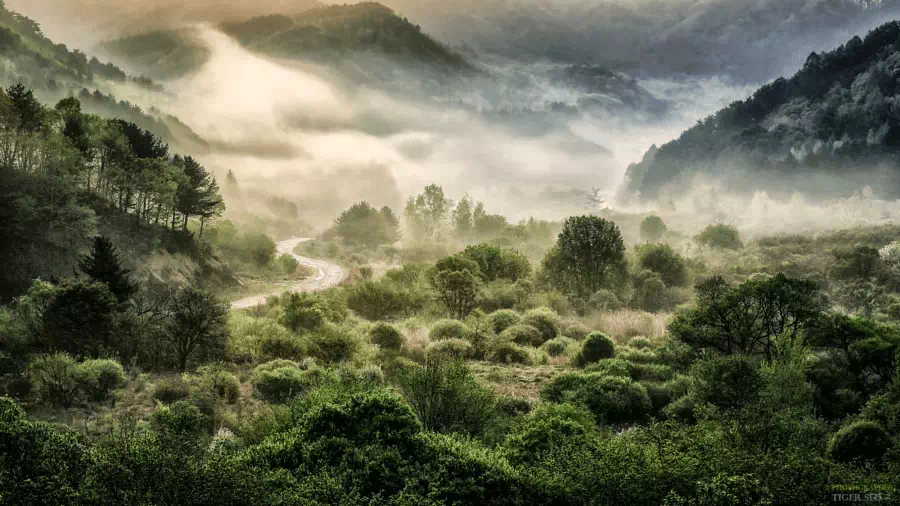 500px.com'da Tiger Seo tarafından Entrance