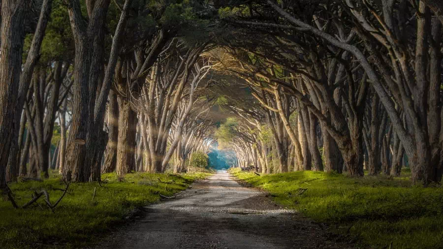 500px.com'da Andrea Iorio tarafından Hobbit Forest