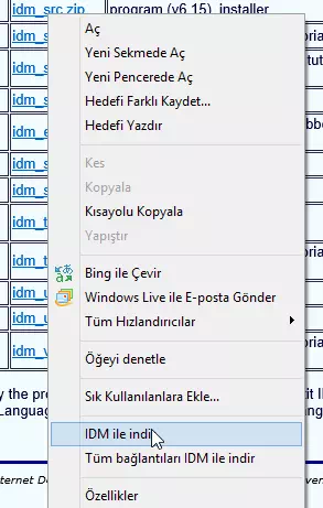 Internet Download Manager Kurulumu ve Kullanımı