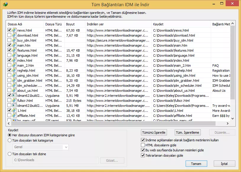 Internet Download Manager Kurulumu ve Kullanımı