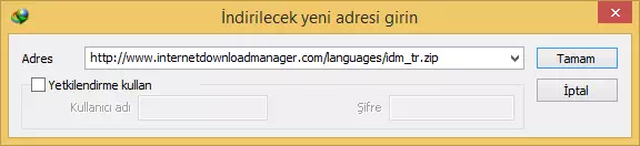 Internet Download Manager Kurulumu ve Kullanımı