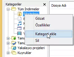 Internet Download Manager Kurulumu ve Kullanımı