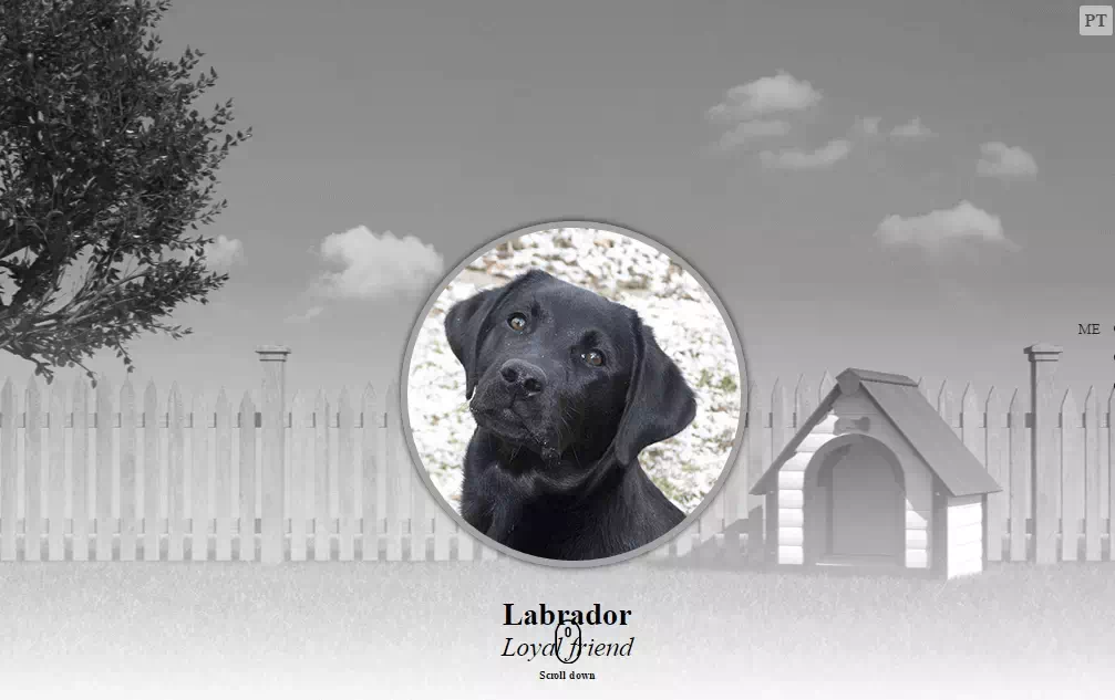 Labrador Jekyll Teması