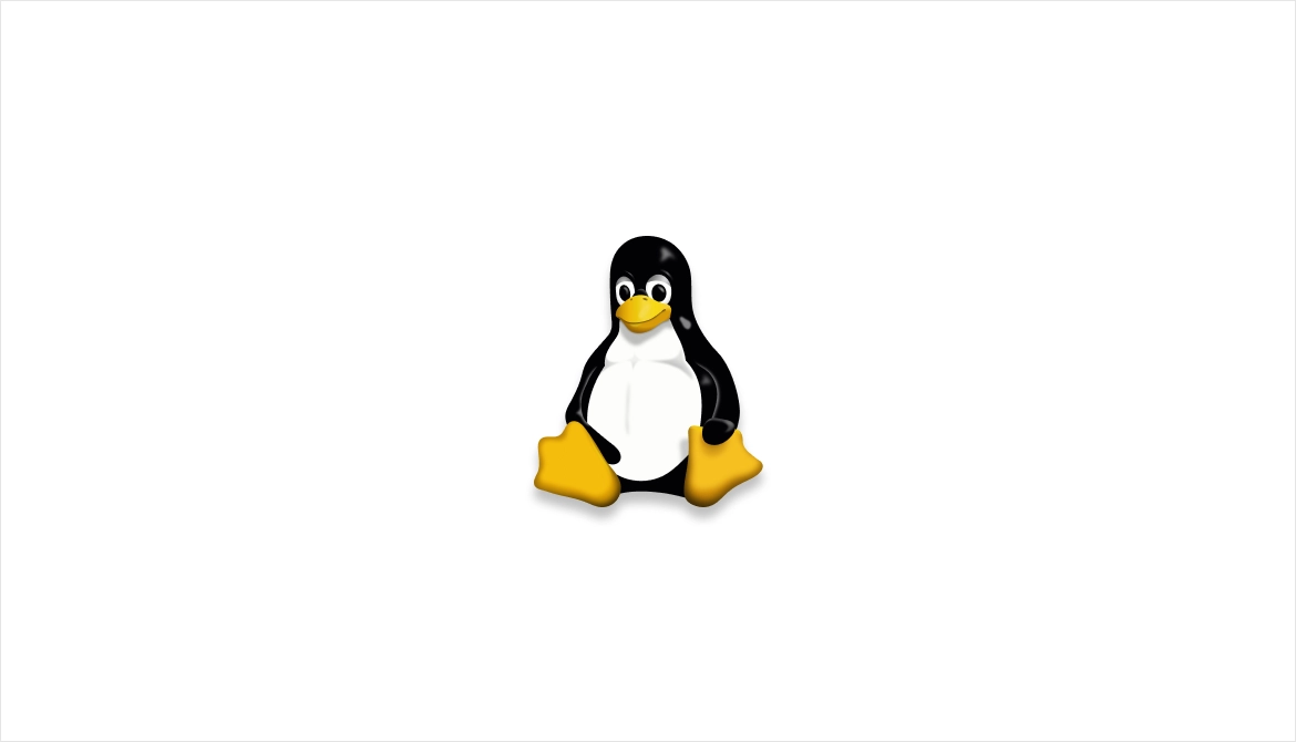 Linux'e Webmin Nasıl Kurulur?