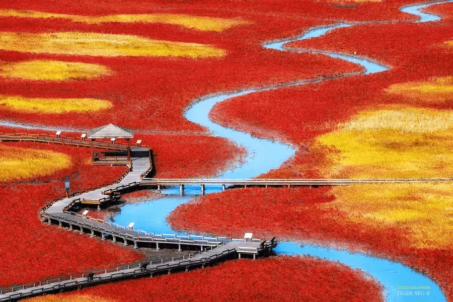 500px.com'da Tiger Seo tarafından Salt pond
