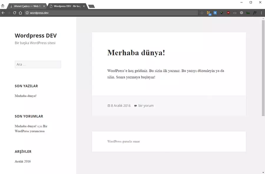 XAMPP Kullanarak Yerel Ana Makinenize Özel Alan Adı (.dev) Oluşturma